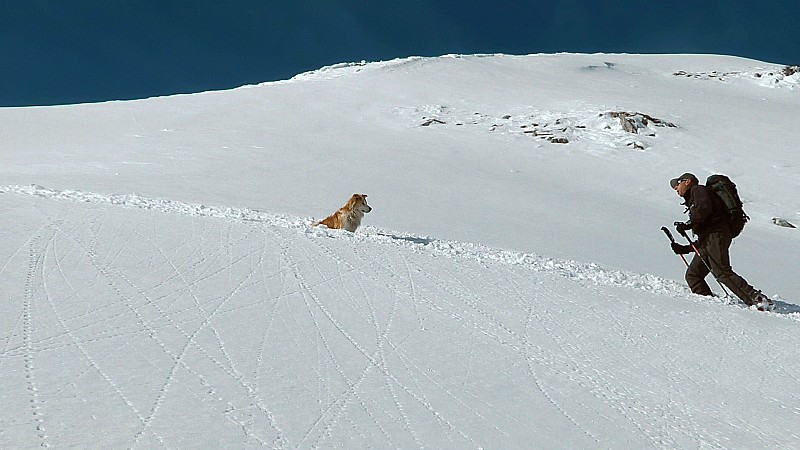 #21 2200m : et qui empèche Patrick de passer 2200m : et qui empèche Patrick de passer