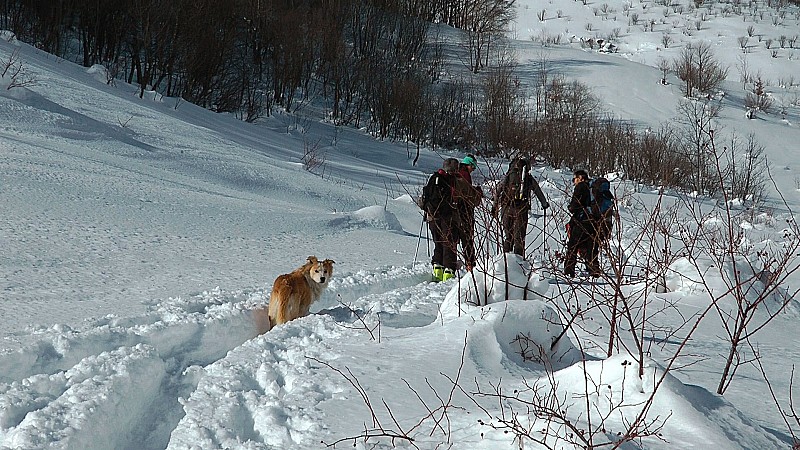 #3 1500m : un compagnon inattendu et bien sympa nous accompagnera toute le journée 1500m : un compagnon inattendu et bien sympa nous accompagnera toute le journée