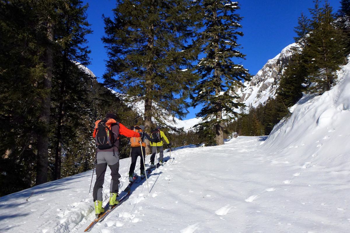 #1 Vallon du Cormet : Parcours forestier en rive gauche dans la partie basse. Vallon du Cormet : Parcours forestier en rive gauche dans la partie basse.