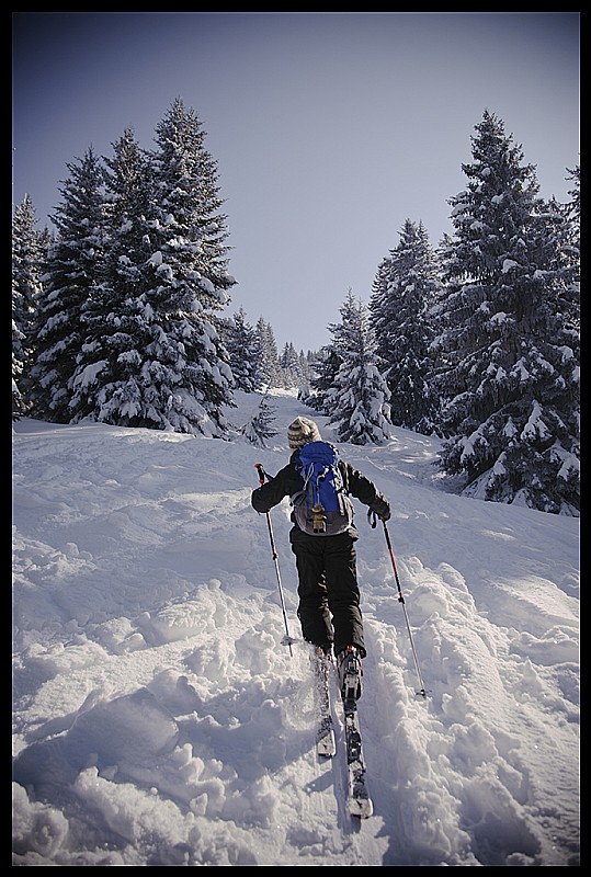 #2 Montée au soleil : à la sortie de la forêt, le soleil nous réchauffe Montée au soleil : à la sortie de la forêt, le soleil nous réchauffe