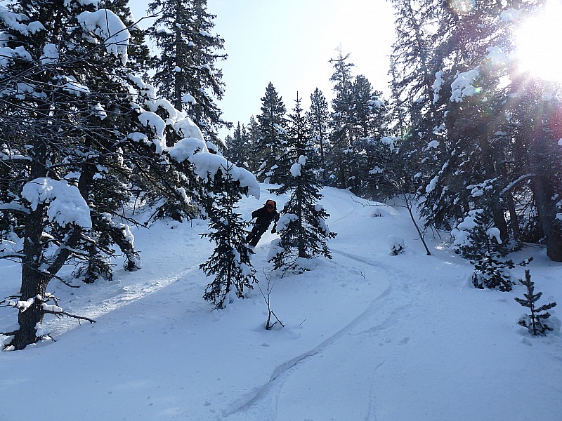 #8 La Combe de Fer : slalom entre les sapins et bonne poudre La Combe de Fer : slalom entre les sapins et bonne poudre