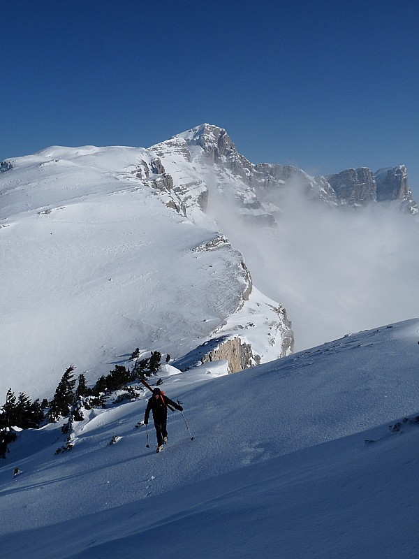 #3 Sur les crêtes : sur fond de Moucherolle(s) Sur les crêtes : sur fond de Moucherolle(s)