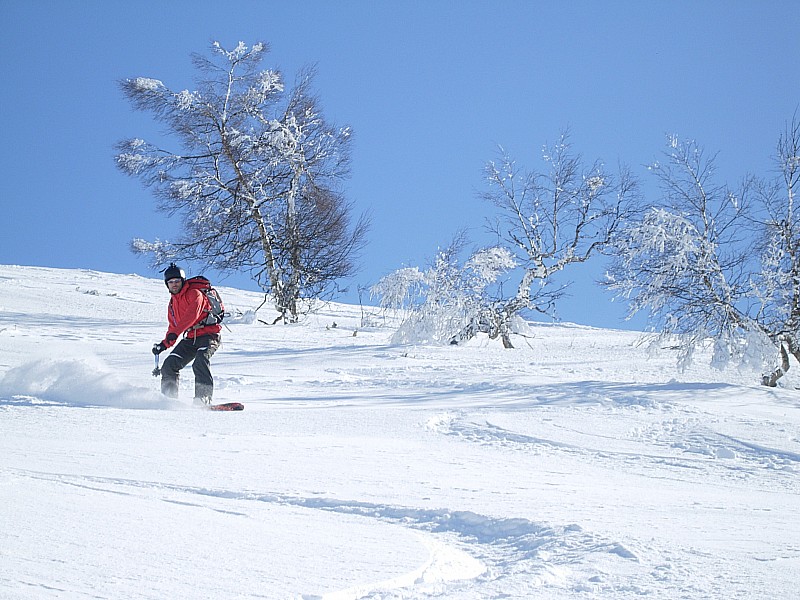 #7 C C'est bon ça!!! : Pas mal de givre sur les arbres (-14° le matin tout de même!!)