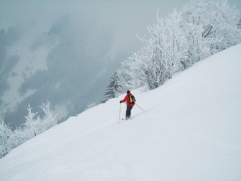 #3 descente : neige croûtée, pas bien franche. Il faut se faire léger dans les virages ou passer en force. descente : neige croûtée, pas bien franche. Il faut se faire léger dans les virages ou passer en force.