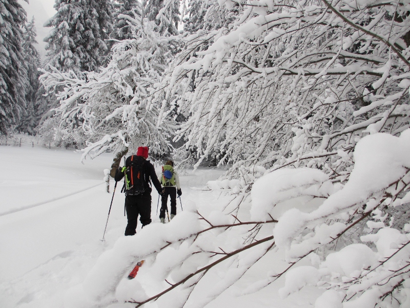 #1 Sur le chemin : il y a de la neige! Sur le chemin : il y a de la neige!