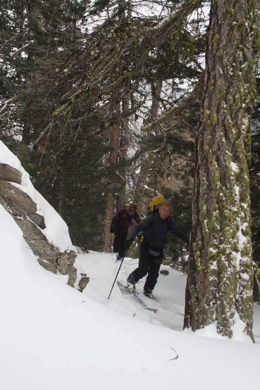 #2 Dans la forêt : un peu plus haut. Dans la forêt : un peu plus haut.