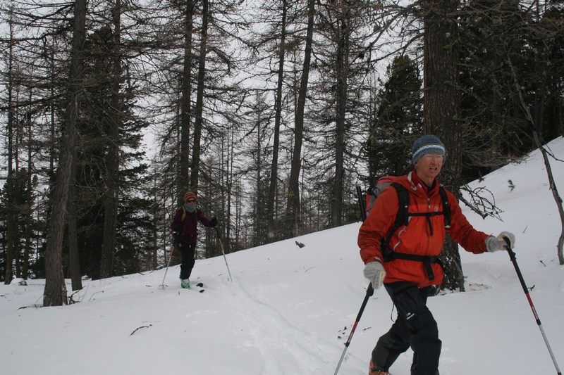 #1 Dans la forêt vers 2000 m : il y a du Guy derrière cette photo! Dans la forêt vers 2000 m : il y a du Guy derrière cette photo!