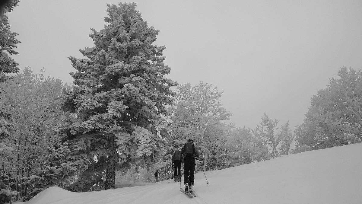 #1 arrivée à Canaple : Chartreuse bien platrée arrivée à Canaple : Chartreuse bien platrée