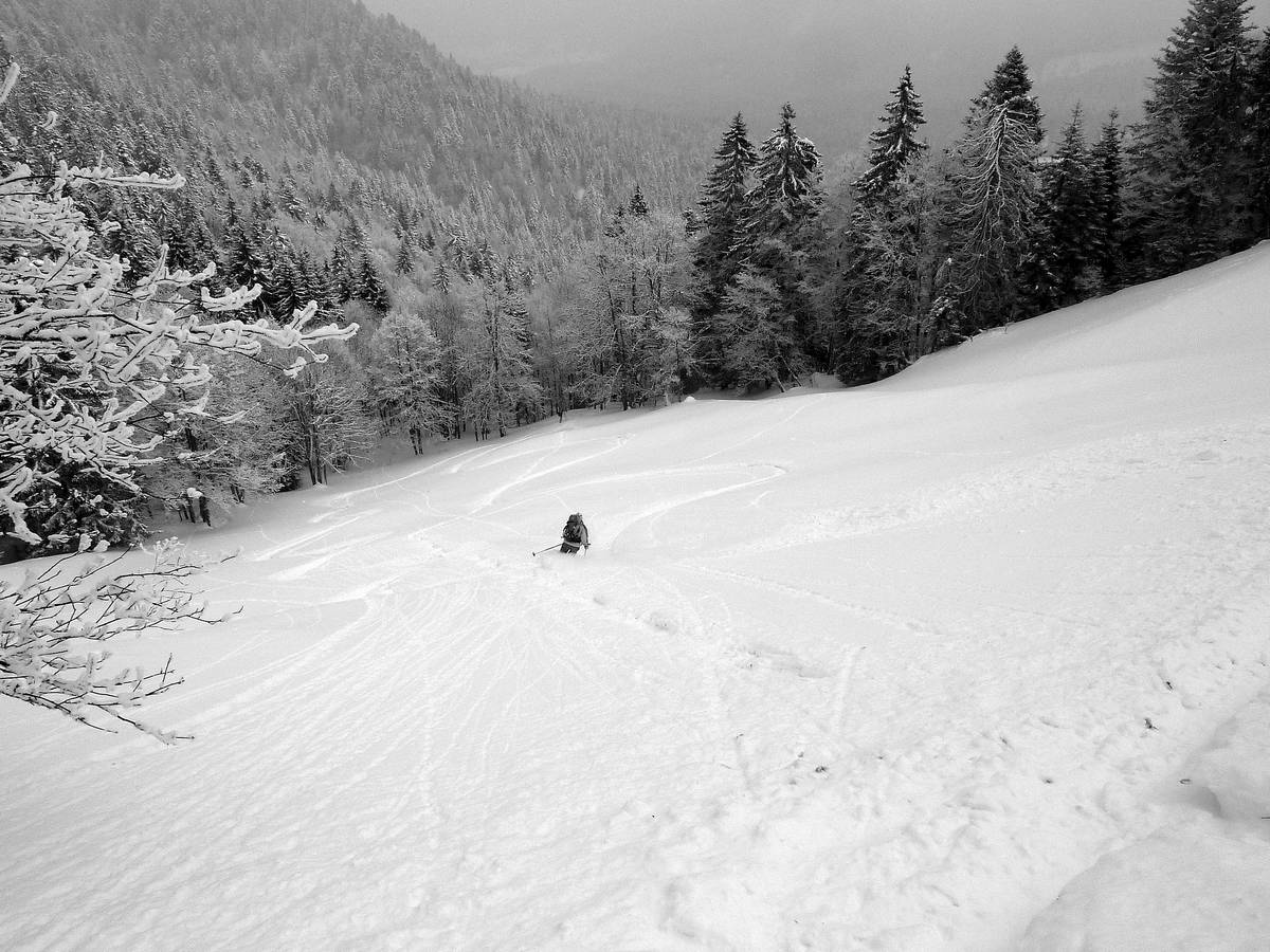#10 Delle : la suite, c Delle : la suite, c'est en foret