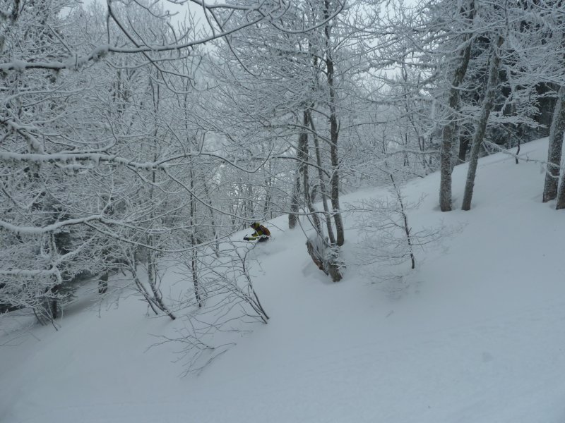 #7 Bertrand dans le Vermorel : Quelques bons passages Bertrand dans le Vermorel : Quelques bons passages