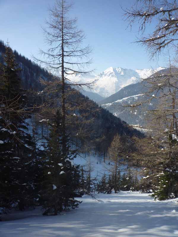 #11 vue d vue d'ensemble : La descente