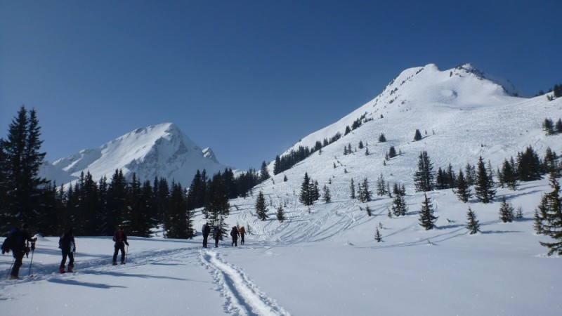 #1 Objectif en vue : Là, c Objectif en vue : Là, c'est grand beau !