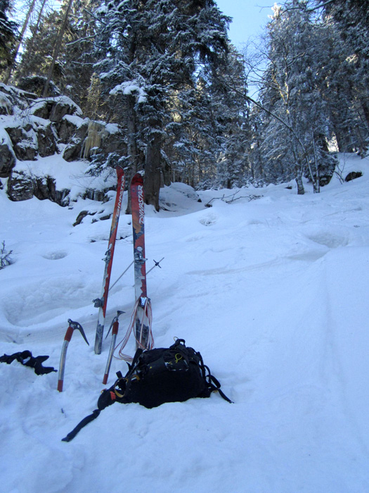 #2 Loup y es tu ? : Le bas de la ligne 7. Sapin, roches et ski combat dans un pur style vosgien ! Loup y es tu ? : Le bas de la ligne 7. Sapin, roches et ski combat dans un pur style vosgien !