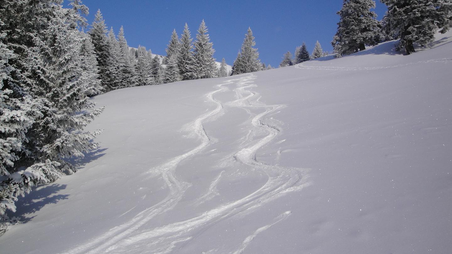 #6 Traces : Neige irréguliére sur le haut mais avec de bons passages Traces : Neige irréguliére sur le haut mais avec de bons passages