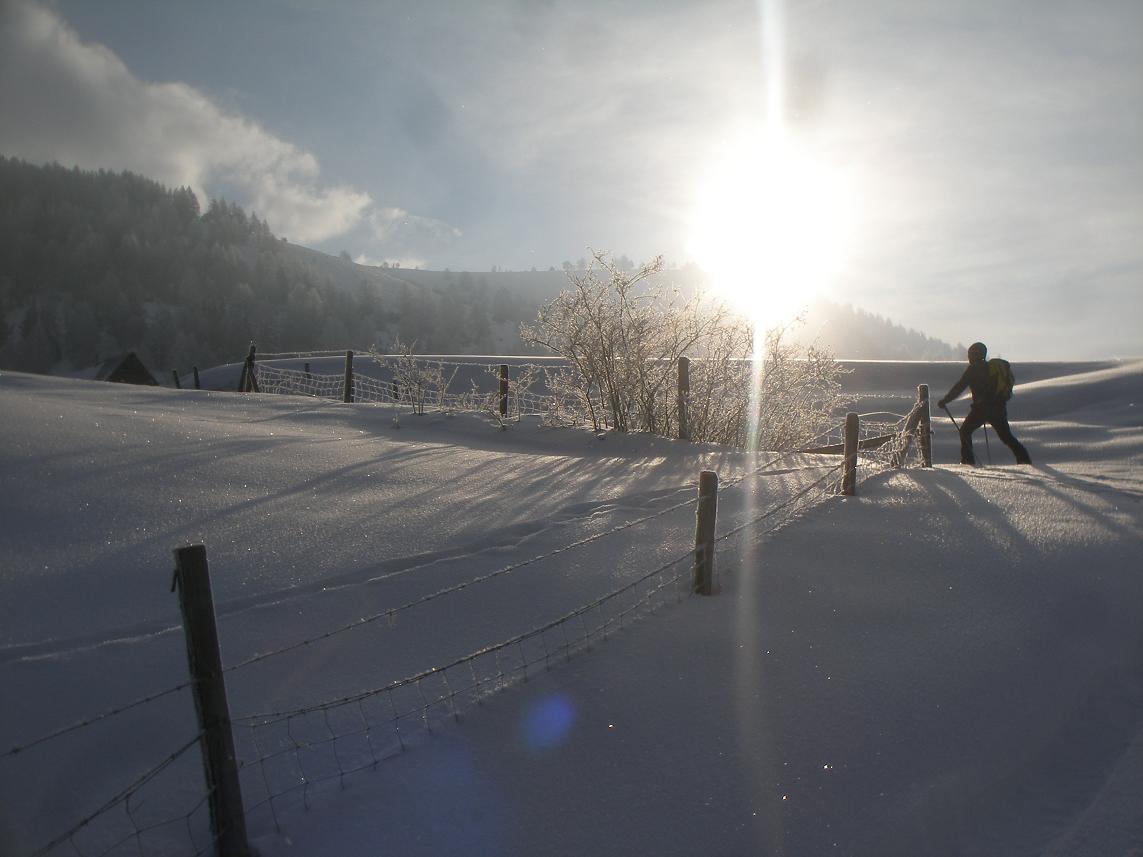 #1 bien froid au petit matin bien froid au petit matin