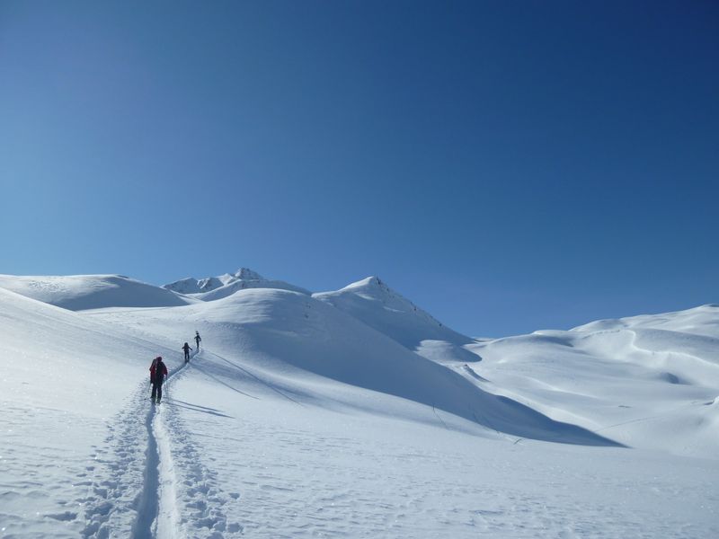 #2 vallon du Cormet : Sauvage... vallon du Cormet : Sauvage...