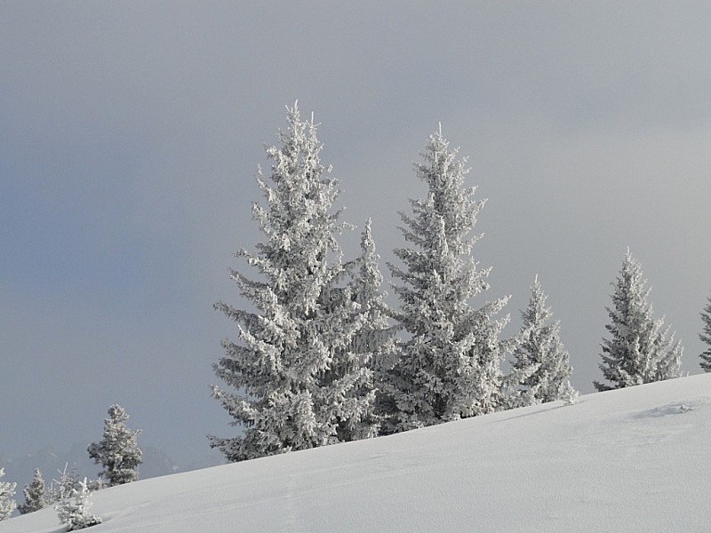#1 Congelation : Qui a dit qui faisait froid? Congelation : Qui a dit qui faisait froid?
