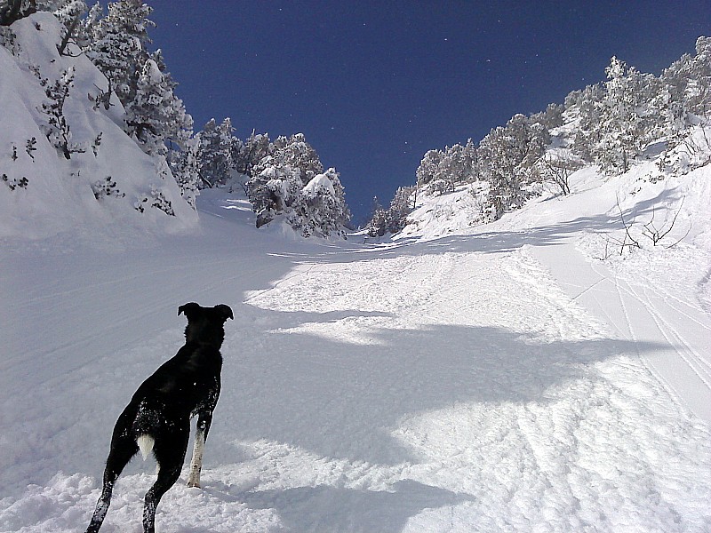 #3 Col du Fret : un bien joli petit couloir Col du Fret : un bien joli petit couloir