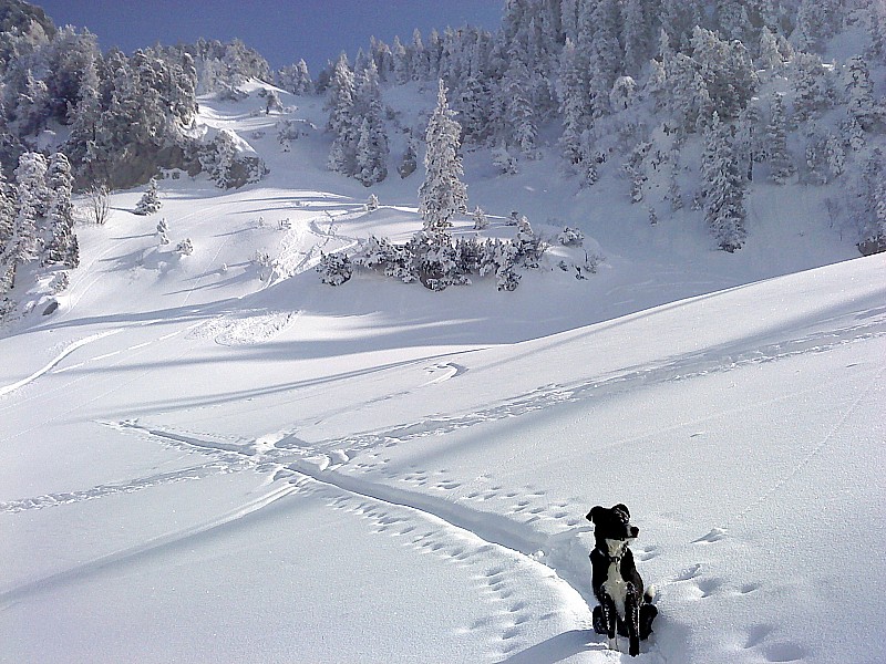#5 Col du Fret : descente W du Fret, la meilleure Col du Fret : descente W du Fret, la meilleure