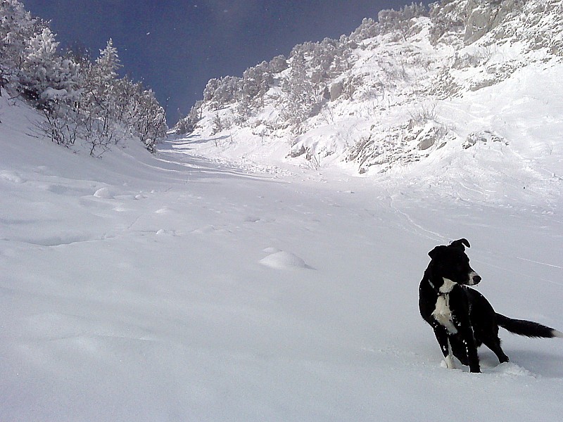 #2 Col du Fret : c Col du Fret : c'est la qu'on monte