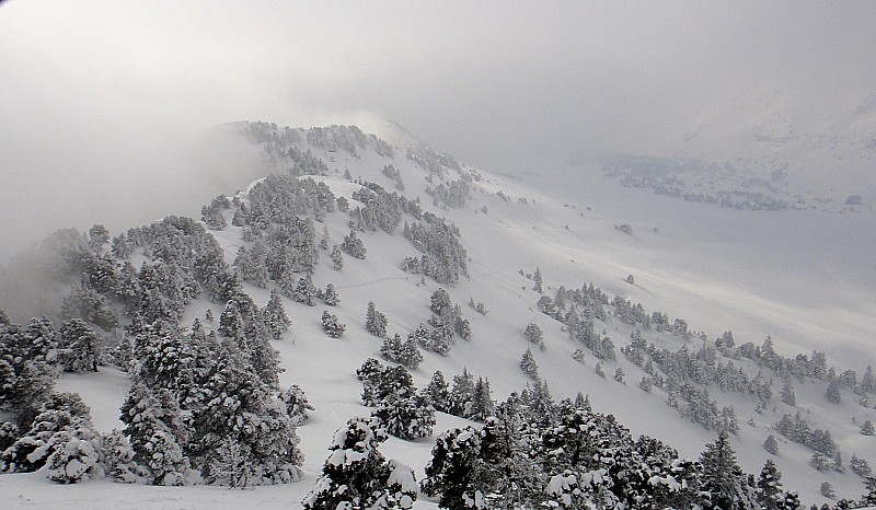 #4 Le vallon de Marcieu : Recouvert d Le vallon de Marcieu : Recouvert d'un manteau bien fraie!