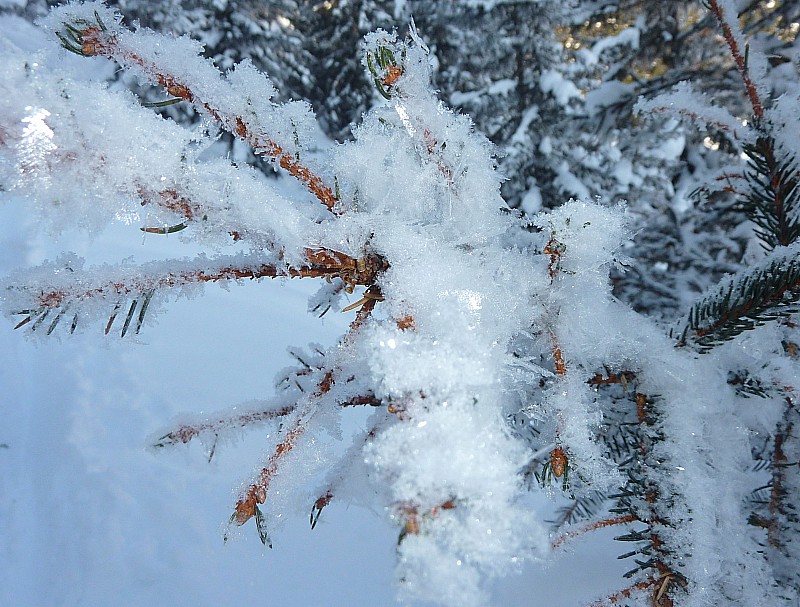 #6 givre givre