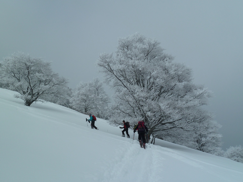 #2 Do entraîne la troupe : nuageux ! Do entraîne la troupe : nuageux !