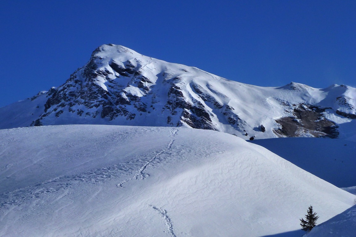 #2 La Pointe du Dzonfier : La face S-O que nous avions descendu cette saison a été balayée par une avalanche !!! La Pointe du Dzonfier : La face S-O que nous avions descendu cette saison a été balayée par une avalanche !!!
