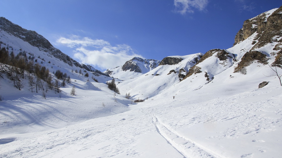 #3 Vallon de la Gorge : En sortant des bois Vallon de la Gorge : En sortant des bois