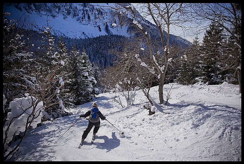 #7 Descente : on rejoint la forêt Descente : on rejoint la forêt