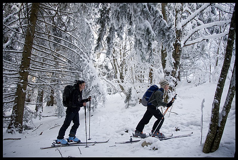#1 Dans la forêt : Montée dans la forêt Dans la forêt : Montée dans la forêt