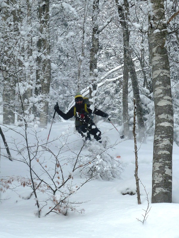 #10 dans la foret : Pascal free rider dans la foret : Pascal free rider