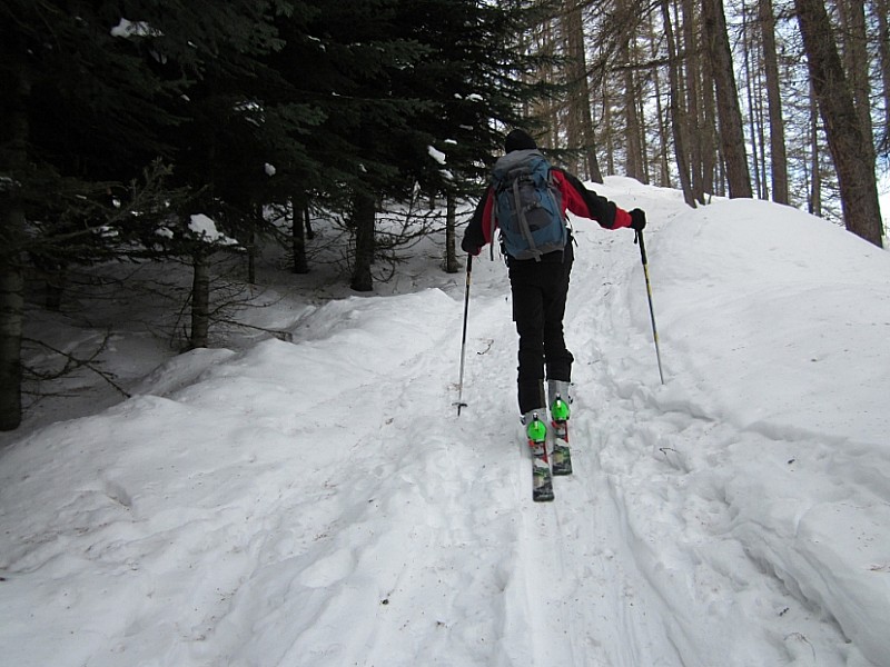 #1 Dans les bois Dans les bois