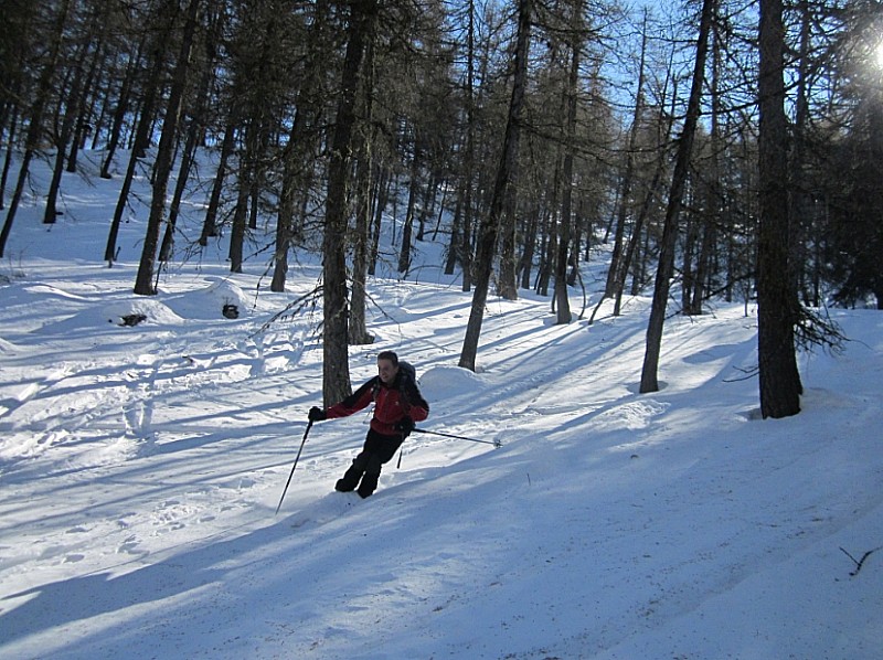 #6 Retour dans les bois Retour dans les bois