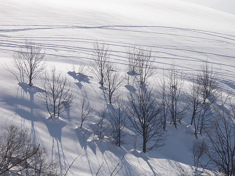 superbe neige jusqu'au village : fin d'aprem