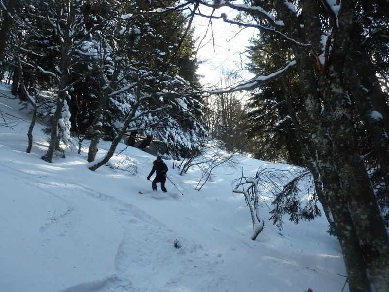 #10 Pic de la Sauge : Descente boisée mais pas trop ! Pic de la Sauge : Descente boisée mais pas trop !