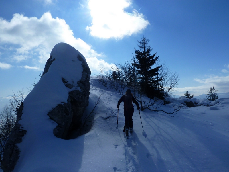 #8 Pic de la Sauge : Arrivée au sommet. Pic de la Sauge : Arrivée au sommet.