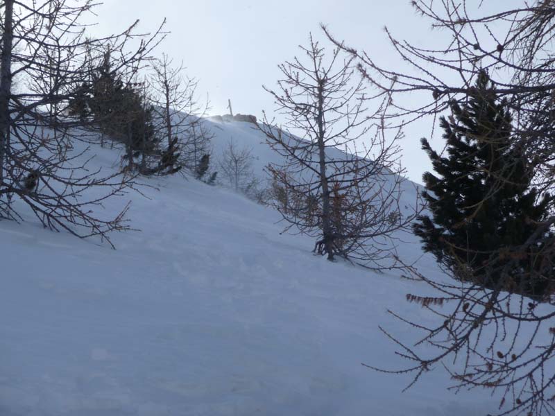 #3 La croix du point 2488 : Sortie de la forêt La croix du point 2488 : Sortie de la forêt