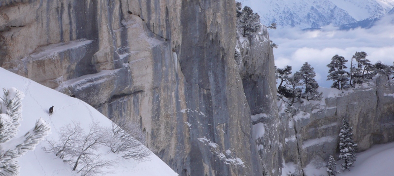 #13 chamois : ça fait un peu jardin zen la montée chamois : ça fait un peu jardin zen la montée