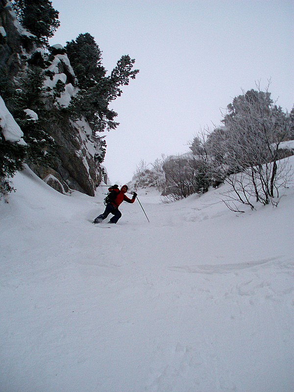 #5 La virgule : Poudre sublime ce matin :) La virgule : Poudre sublime ce matin :)