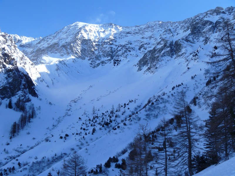 #1 le cirque, bien joli le cirque, bien joli