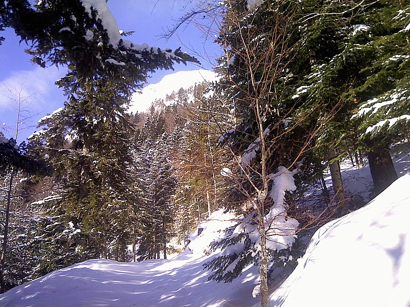 #1 Rochers de la Bade : Face est depuis la forêt Rochers de la Bade : Face est depuis la forêt