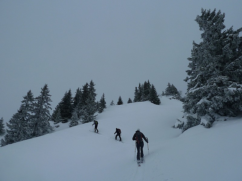 #2 Roc d Roc d'Arguille : Arrivée au sommet.