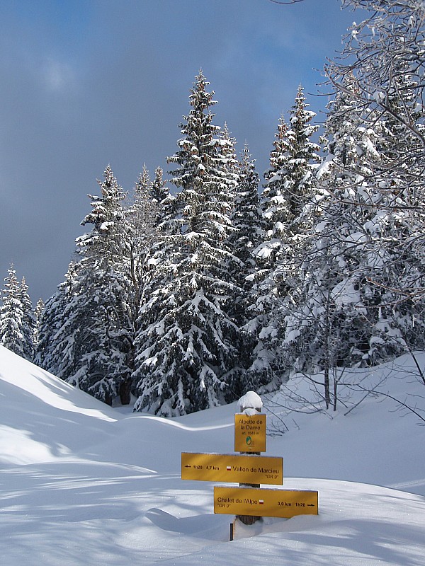 #7 Habert de la Dame : Panneau indiquant le démarrage du GR9, en limite de forêt sous le Habert de la Dame Habert de la Dame : Panneau indiquant le démarrage du GR9, en limite de forêt sous le Habert de la Dame