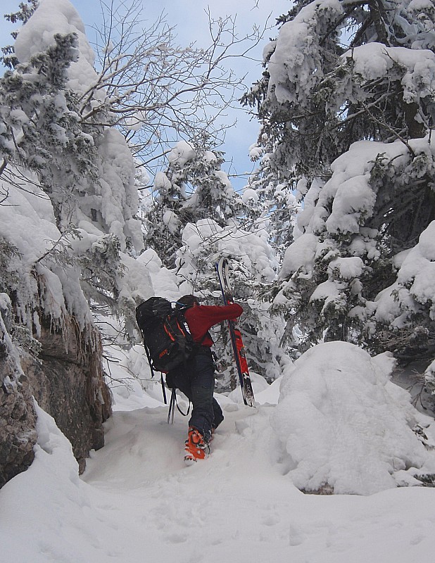 #2 Passage des barres : Petite difficulté de la journée: le passage des barres sur le chemin de tracarta Passage des barres : Petite difficulté de la journée: le passage des barres sur le chemin de tracarta