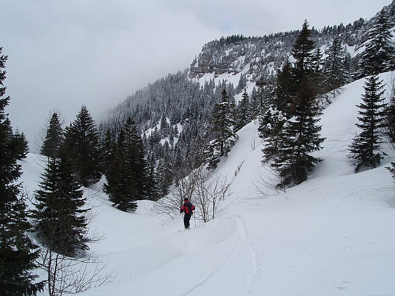 #11 Descente/bis : A la limite de la forêt Descente/bis : A la limite de la forêt