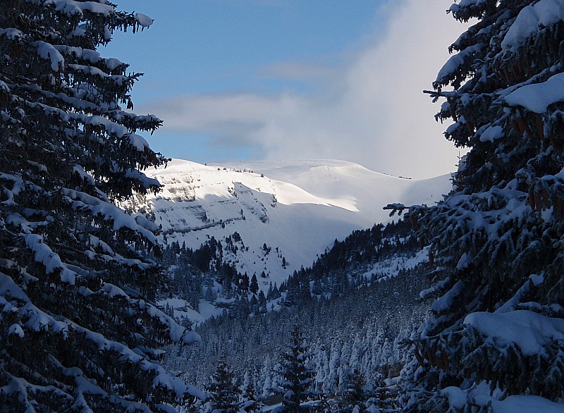 #3 Croix de l Croix de l'Alpe : Deuxième sommet de la journée en vue avant même le premier!
