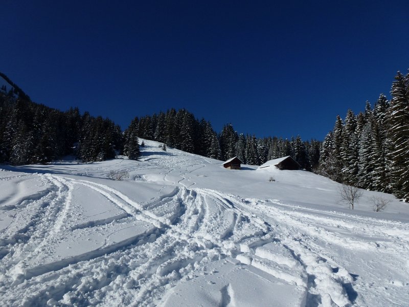 #9 Pte de la Croix : Excellente neige dans la bas Pte de la Croix : Excellente neige dans la bas