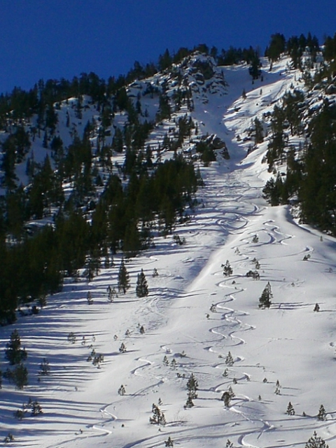 #9 Couloir G du Creux du loup : Encore de la bonne neige la dedans. Couloir G du Creux du loup : Encore de la bonne neige la dedans.