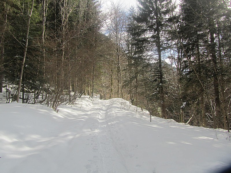 #6 après le torrent : le début du printemps. après le torrent : le début du printemps.